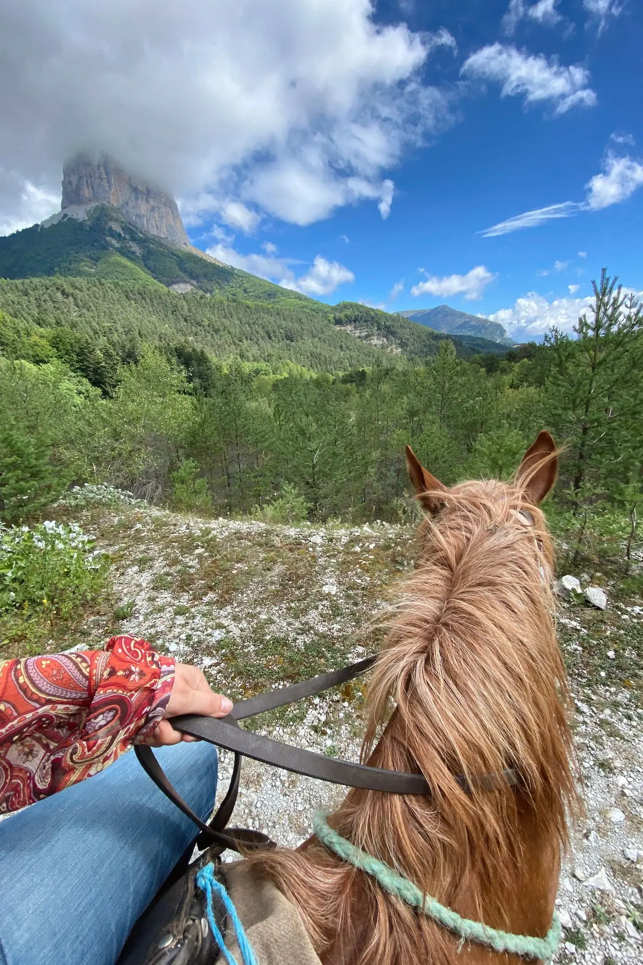 experience balade cheval dans le vercors au pied du mont aiguille